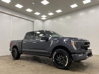 dommages scooters Ford USA F-150 3.5 V6 Ecoboost Platinum DC Navi Clima 2021/9