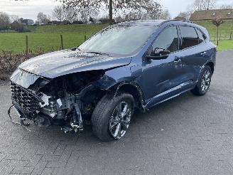 occasion passenger cars Ford Kuga ST-Line / Automaat 2021/12