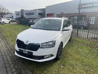 dommages fourgonnettes/vécules utilitaires Skoda Fabia 1.0 TSI Business Edition 2020/7
