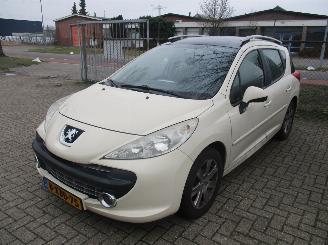 dommages motocyclettes  Peugeot 207  2008/1