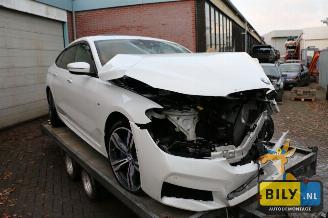 disassembly commercial vehicles BMW 6-serie G32 3.0dX 2017/8