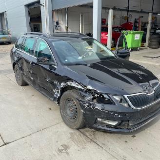 dañado vehículos comerciales Skoda Octavia Ambition 2019/9